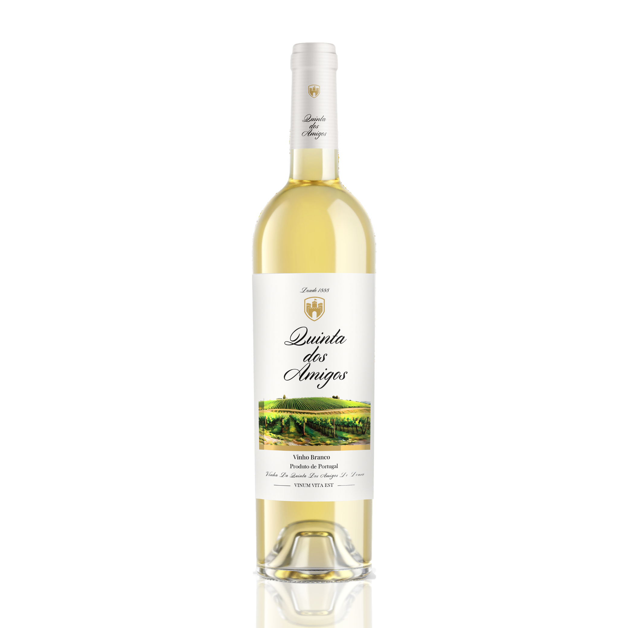 White Wine